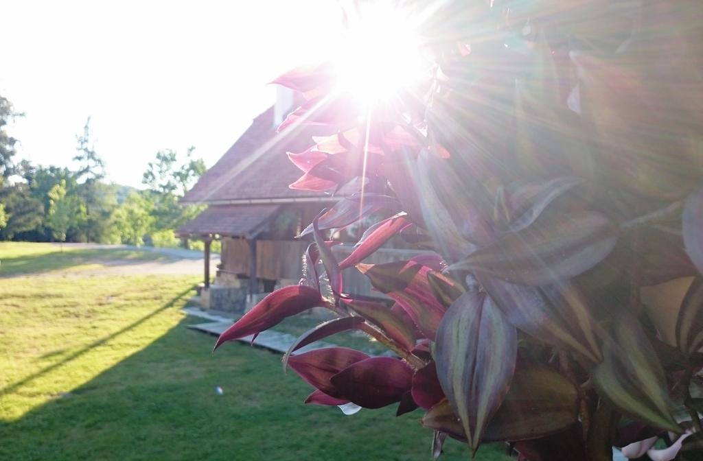 Rustic Home Mia ดูกาเรซา ห้อง รูปภาพ