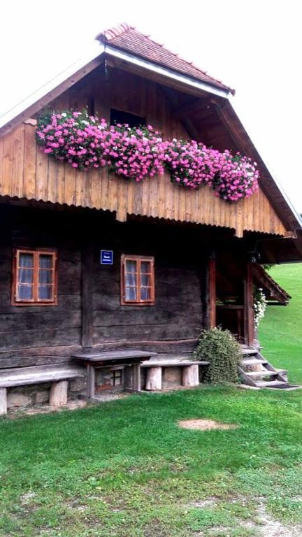 Rustic Home Mia ดูกาเรซา ภายนอก รูปภาพ